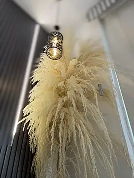 Rose-euphoria online show from 02-13-26, 09:04