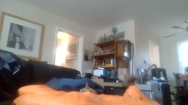 den-rock4u online show from 12-01-25, 06:42