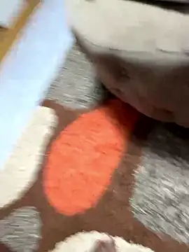 sknzy09 online show from 01-08-26, 01:06