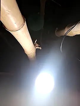 HotSexyBoudi online show from 02-26-26, 08:25