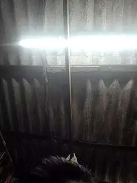 HotSexyBoudi online show from 11-26-25, 08:58