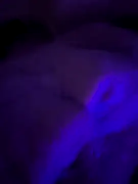 Porkocazzone online show from 01-11-26, 07:48