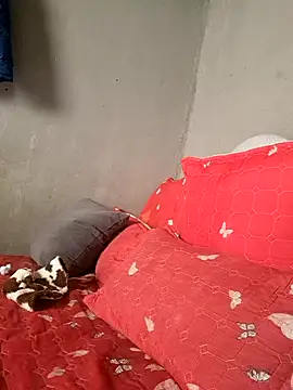 Petrossa online show from 01-13-26, 11:47