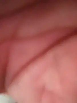 Snapshot of WilldoPita chatting on 02-10-26, 04:17 WilldoPita online show from 02-10-26, 04:17