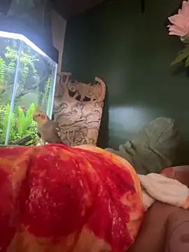 trash4cash online show from 03-07-25, 02:34