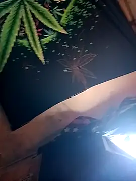 ySqmbVanbe online show from 02-09-26, 04:49