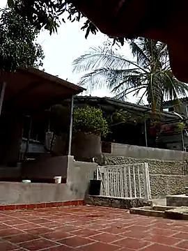 Nathan mason  online show from 03-11-25, 06:08