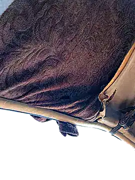 FloppyPickle4u online show from 01-19-26, 04:11