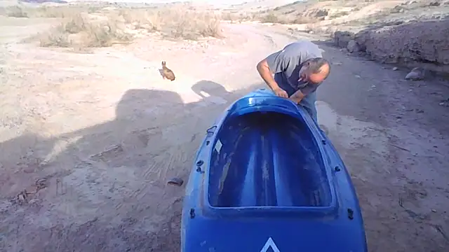 FloppyPickle4u online show from 12-20-25, 10:45