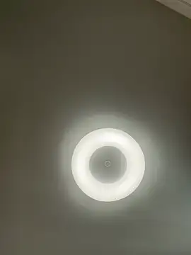 Snapshot of Lady_MiaOlson chatting on 01-06-25, 04:36 Lady MiaOlson online show from 01-06-25, 04:36