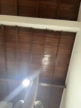 emiss  online show from 12-16-25, 04:22