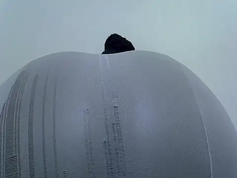 doctor deee online show from 02-28-26, 04:06