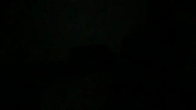 JunkieShitPig online show from 11-19-25, 08:36