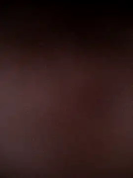 traigl online show from 12-24-24, 08:22