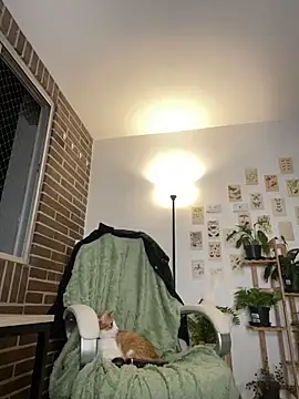 6nalanie online show from 12-14-24, 12:44