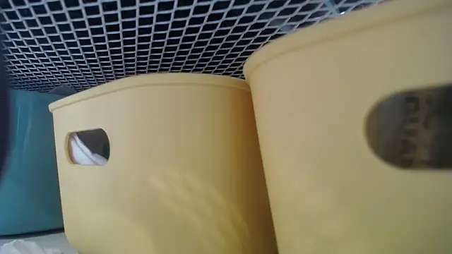 lovense test04 online show from 02-27-26, 07:30