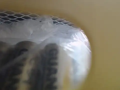 Snapshot of lovense_test04 chatting on 10-16-25, 03:48 lovense test04 online show from 10-16-25, 03:48