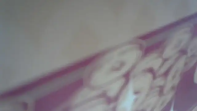 lovense test04 online show from 04-08-26, 03:30