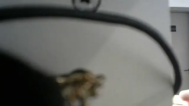 Snapshot of lovense_test04 chatting on 09-19-25, 09:57 lovense test04 online show from 09-19-25, 09:57