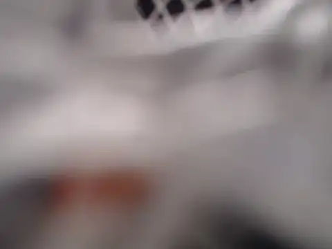 Snapshot of lovense_test04 chatting on 03-06-25, 06:19 lovense test04 online show from 03-06-25, 06:19