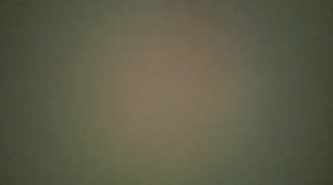 Snapshot of lovense_test04 chatting on 03-13-25, 08:37 lovense test04 online show from 03-13-25, 08:37