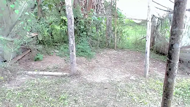 tayiro r online show from 10-24-25, 05:12