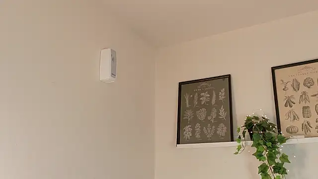 memphiswilliam online show from 02-17-26, 04:21