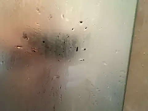 shiro 3 online show from 02-21-26, 04:47