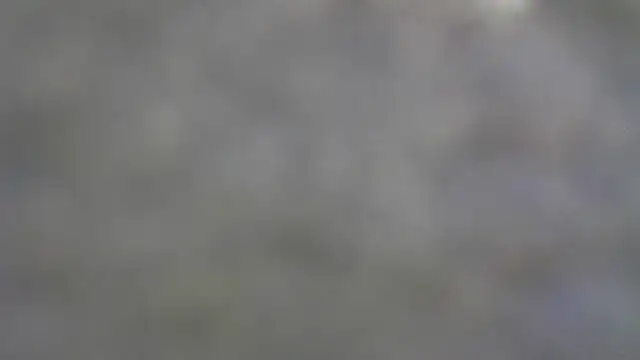 Buddy Cuck online show from 01-07-26, 08:03