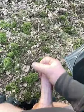 pietpietersen online show from 03-06-26, 03:29