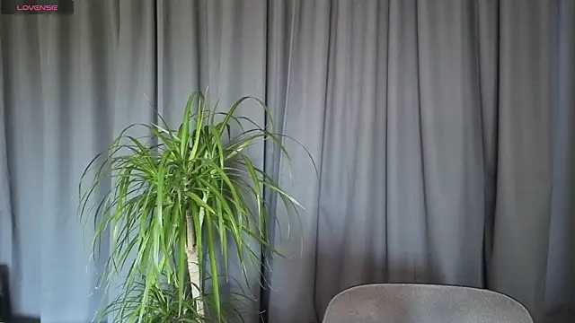 Snapshot of Sheandhim23 chatting on 05-28-26, 11:05 Sheandhim23 online show from 05-28-26, 11:05