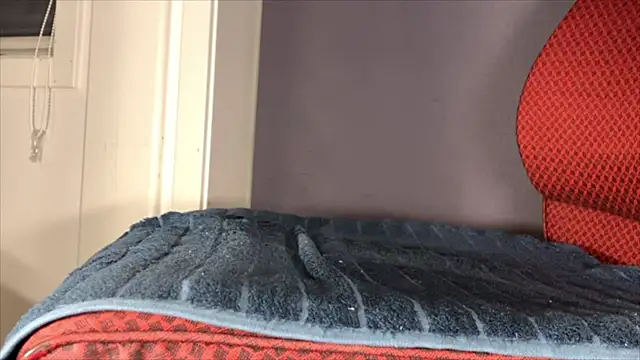 brsrkr online show from 12-05-25, 08:39