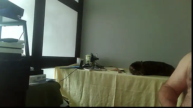 SexWorkerX online show from 11-15-25, 04:22