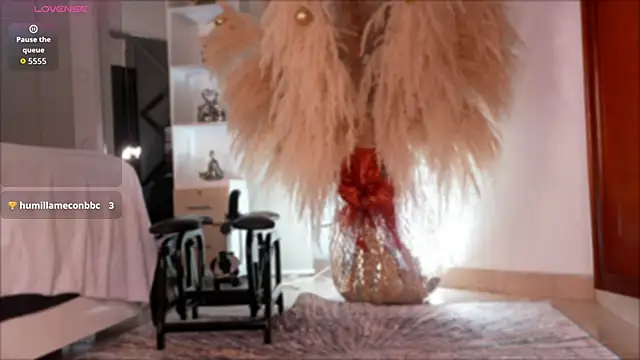 niiaa1 online show from 11-12-25, 03:21