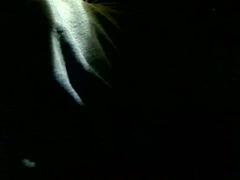 markluvskitty online show from 12-05-25, 03:43