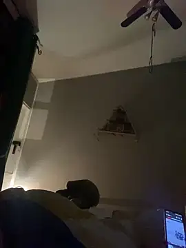 Snapshot of WreckedCrop chatting on 01-06-25, 01:31 WreckedCrop online show from 01-06-25, 01:31