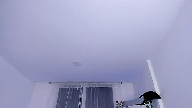  mia collins b  online show from 01-29-25, 01:48