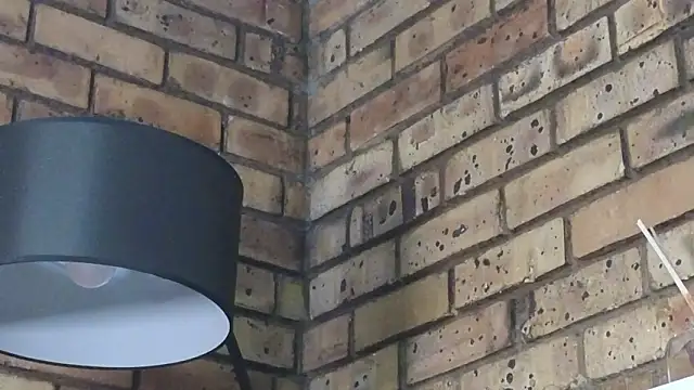 Astoria Moon online show from 01-14-26, 12:20