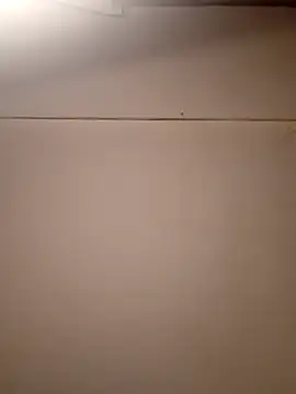 AmazonianMistress online show from 09-21-25, 02:00