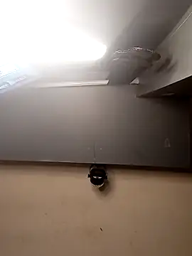 AmazonianMistress online show from 12-01-25, 02:40