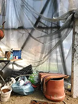 Snapshot of EmmaSquirt chatting on 03-20-25, 11:38 EmmaSquirt online show from 03-20-25, 11:38