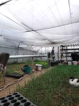 Snapshot of EmmaSquirt chatting on 03-18-25, 01:12 EmmaSquirt online show from 03-18-25, 01:12