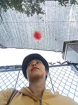 2HotAsain4u online show from 04-11-26, 03:03