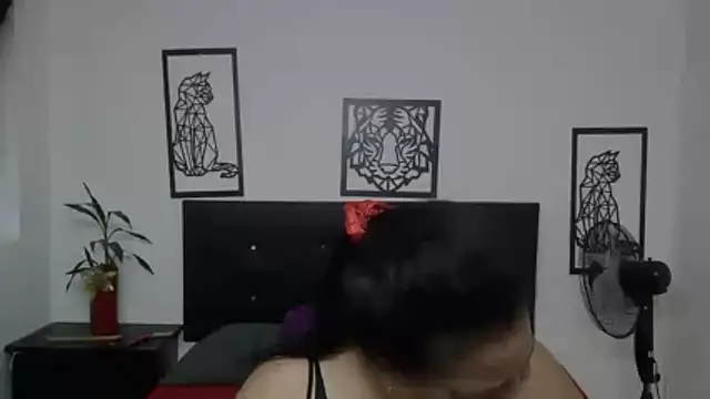 Shanttal0272 online show from 11-28-25, 02:50