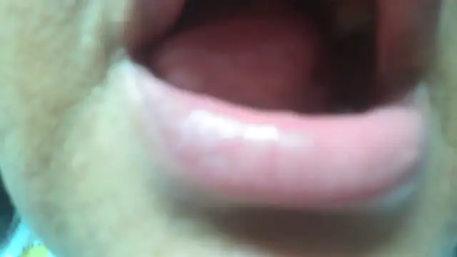 Shanttal0272 online show from 03-29-26, 04:58