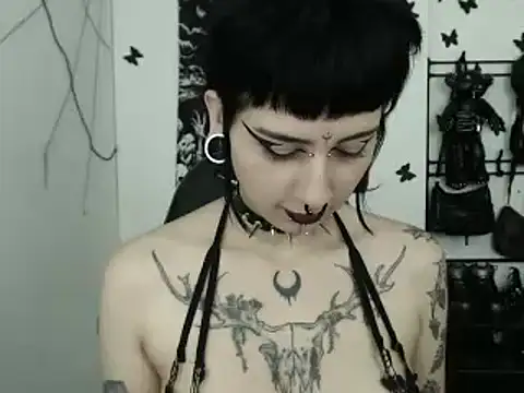 n0sferatus   online show from 11-28-25, 03:50