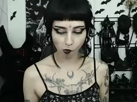 n0sferatus   online show from 04-11-26, 03:25