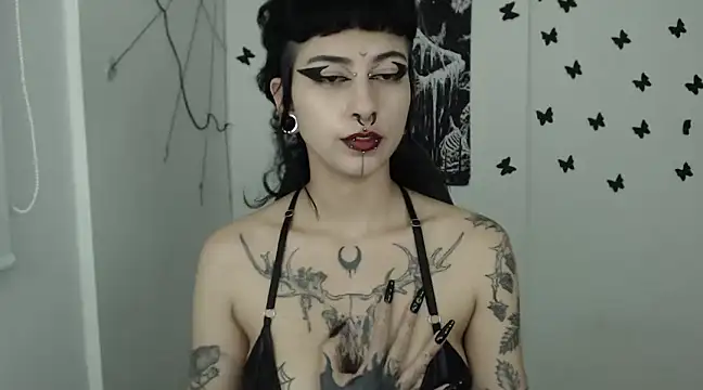 n0sferatus   online show from 01-30-25, 07:50