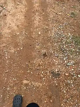 Snapshot of Black-mamba-madingo chatting on 03-29-26, 02:08 Black-mamba-madingo online show from 03-29-26, 02:08