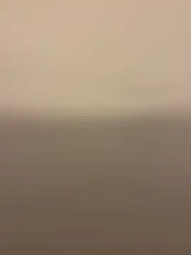 Nemadokmeg1111 online show from 01-24-25, 08:23